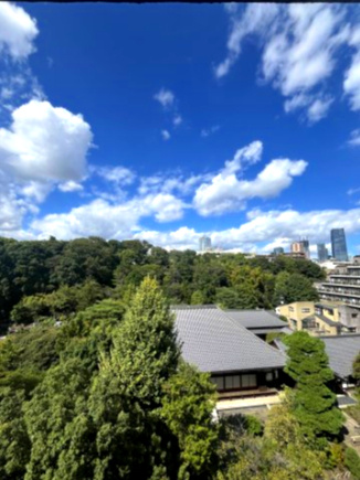 バルコニーからは光林寺の深緑を愉しむことができ、　自然の安らぎが得られる心地よい住空間です。