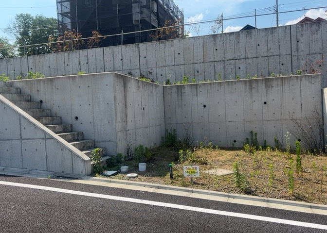 外観：313004773119