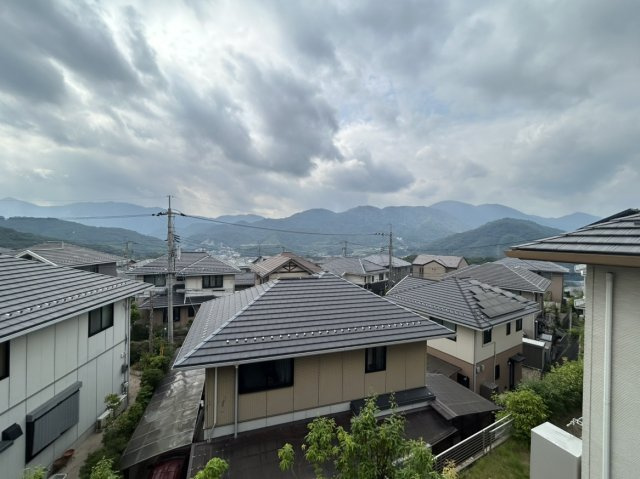 展望