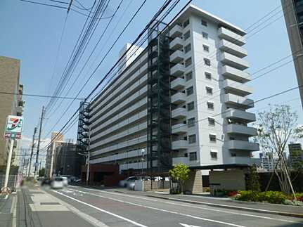 外観：334000236385