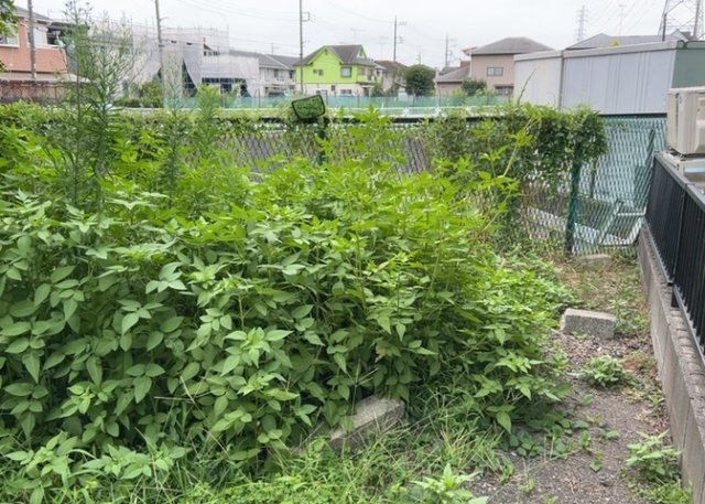庭があることでガーデニングや家庭菜園はもちろん、こどもの遊び場やペットを放して遊ぶことができます。また、家の周囲に余裕があるということです。隣地との間があれば、十分な日当たりと、風通しが確保できます。