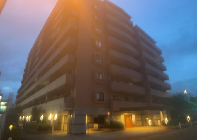 外観：313004901541