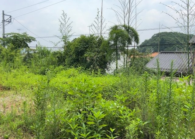物件の詳細については、現地を見てわかること以外に、役所や法務局などで調べないとわからないことがあります。そのため、現地に行く場合は、もしこの物件を買ったらどのような生活ができるかをイメージしましょう。