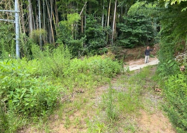 家を建てる前提で土地を探している場合、地盤の丈夫さは譲れない条件の一つです。地盤が脆弱だと追加工事が必要となります。また、過去に地盤沈下や液状化現象を起こした土地は、できるだけ避けた方がいいでしょう。