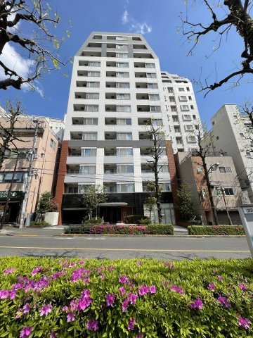 外観：313004691200