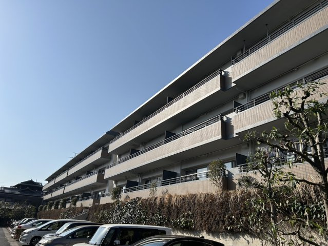 外観：312001186412