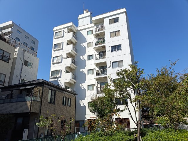 外観：313004915810