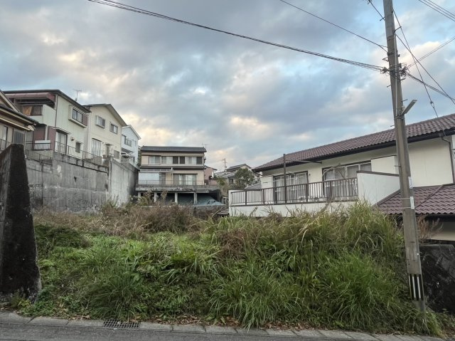 外観：346000036910