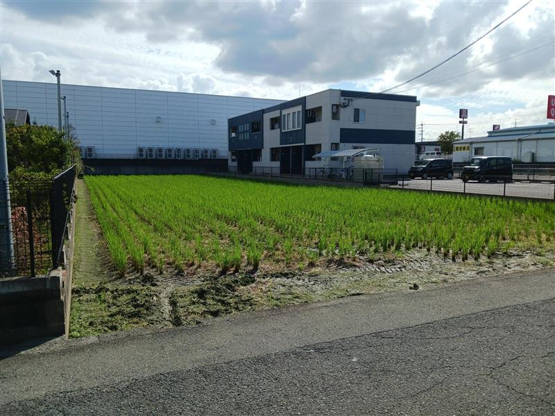 外観：340000275914