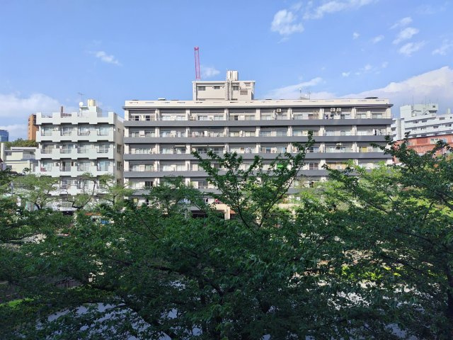 新緑のまぶしい季節の外観　　全96戸　RC造り10階建てのマンションです。