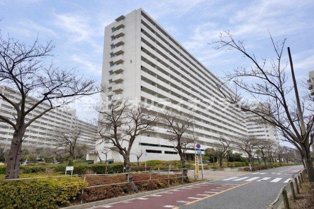 外観：313004603594