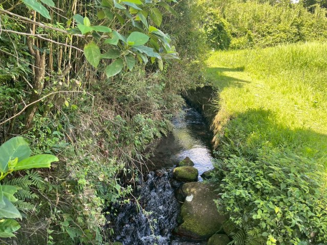 川が流れてます。