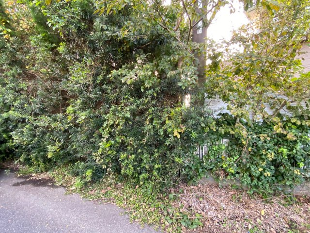 外観：312001169410