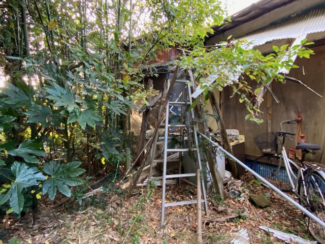 建物はボロボロで住めないですが自分で手直しするのも楽しいですよ