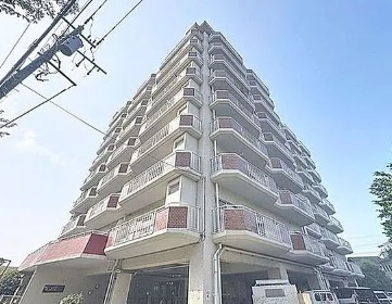 外観：312001343899