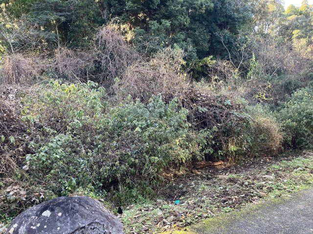 外観：346000040086