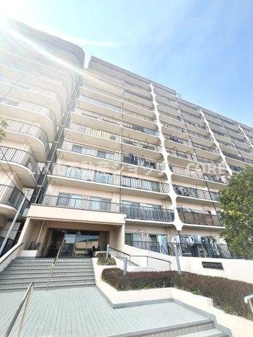 外観：314002674549