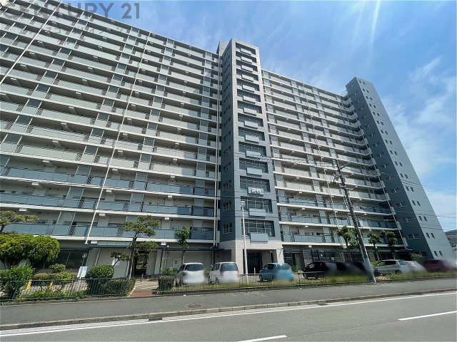 外観：328000628332