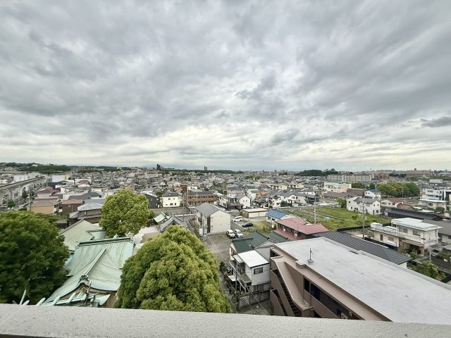 展望