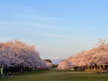 宝野公園まで徒歩6分