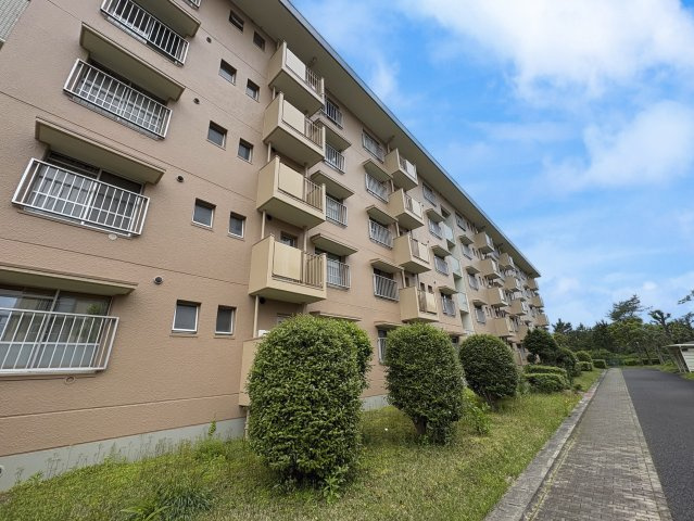 外観：312001253061