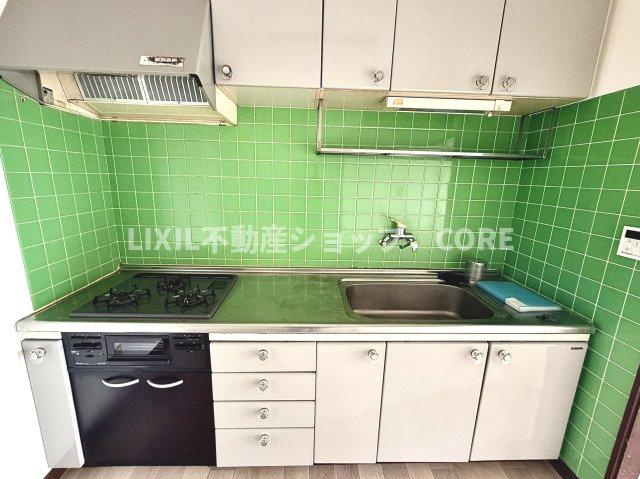 沢山の調理器具や調味料が収納でき、大きな流しもついてます　毎日のお料理が楽しみです。