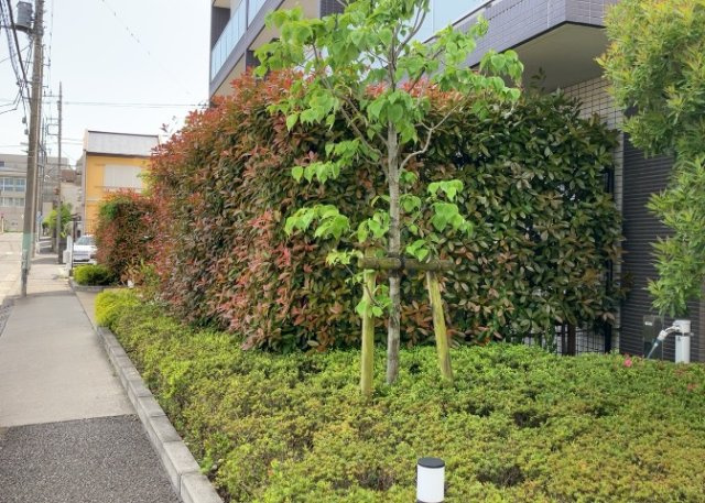 物件によっては、入居者が個人的に使用できる専用庭がついているものもあります。また、住宅の中にある土間の部分を庭と呼ぶこともあります。庭の用途は住む人によって変わり、それによってデザインもさまざまです。