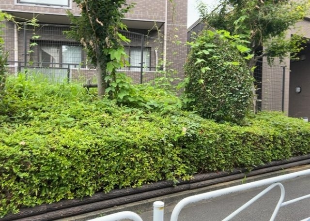 中庭（パティオ）とは、一つの建築物の内部に設けられた、壁などで囲われている庭のことを指します。コの字型、ロの字型が主流ですが、L字型の中庭もあります。最近では、インテリア性の高さからも人気があります。