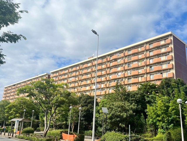 ペデストリアンデッキと陸橋で駅までつながる安心の立地です。