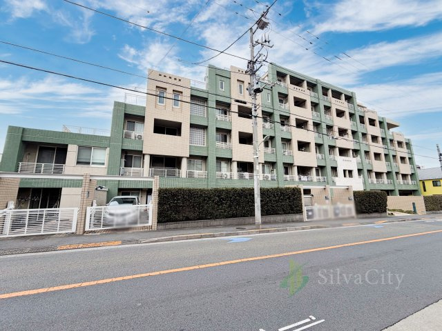 外観：313004684289