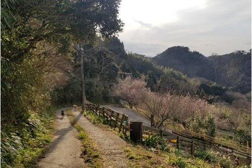 周囲の環境