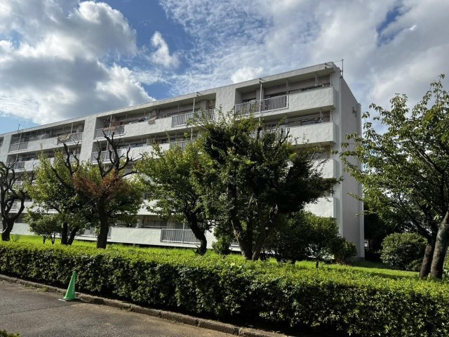 外観：313004640290