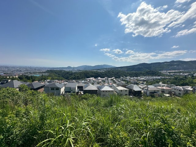 展望
