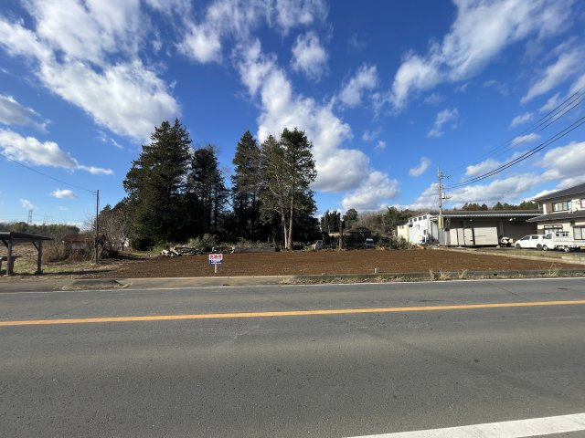 外観：308000166304