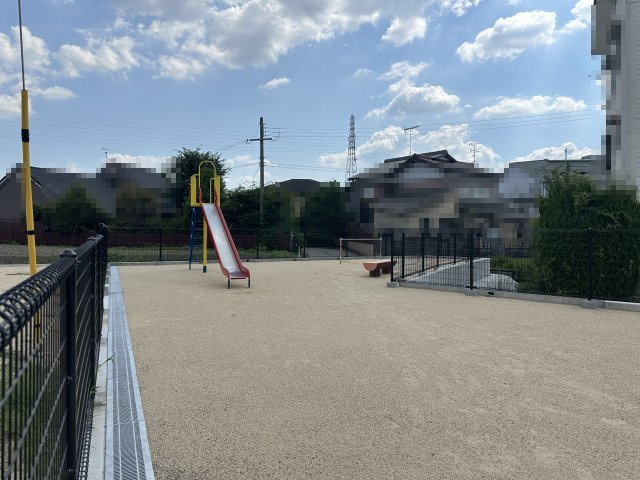 2025年7月31日撮影