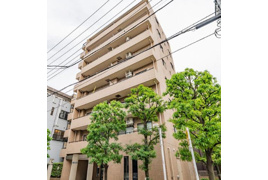 藤和シティコープ入谷の外観