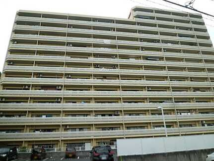 外観：334000223862