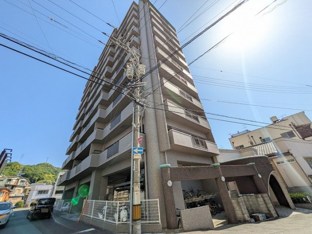 外観：334000229416
