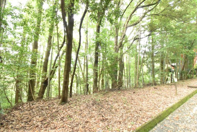 外観：346000040395