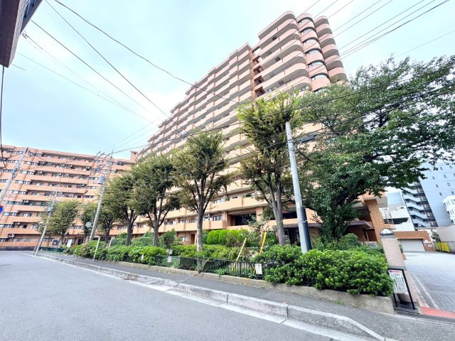 外観：311002481971