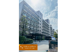 メゾン甲子園の外観