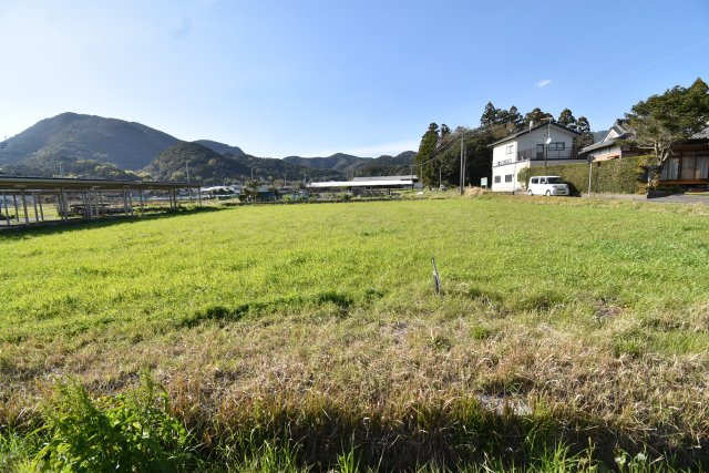 外観：346000019761