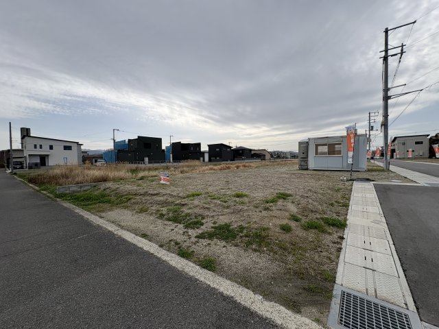6号地
