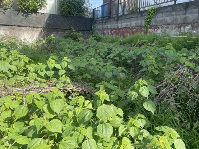土地を買う際、住む地域の自治体や福祉の補助制度にも注目してみましょう。子供や老人の医療補助やゴミ出しのルールなど、自治体によってルールに大きな違いがあるため、暮らしやすい土地で判断するとよいでしょう。