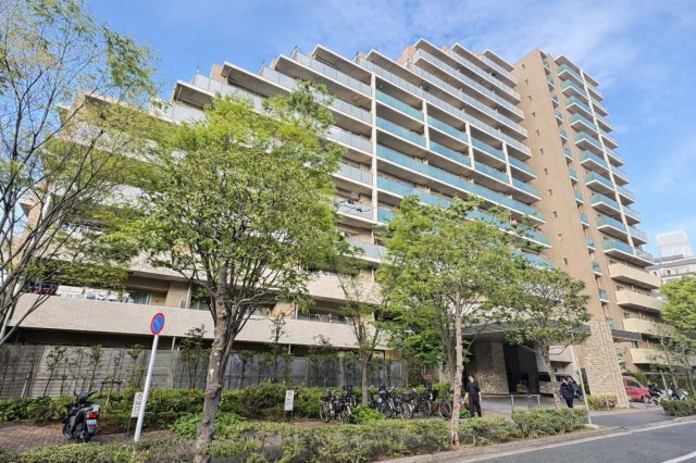 外観：313004708016