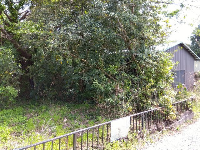 敷地面積は約50坪あります。資材置き場や駐車場としてお使いいただけます。