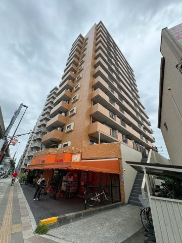 外観：313004888825