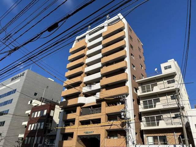 外観：334000265322