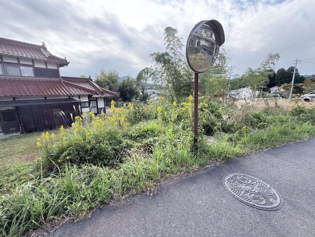 【現地写真】　2026年10月に撮影しました