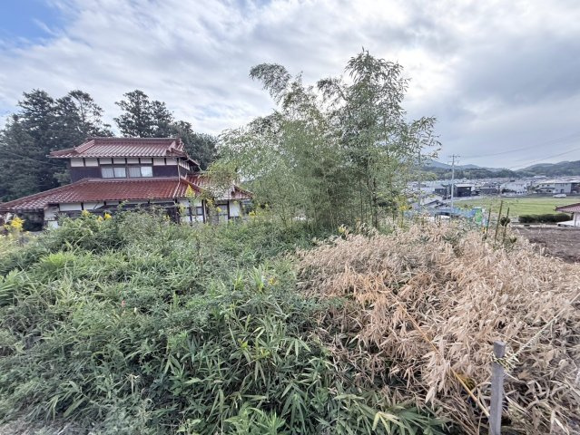 【現地写真】　2026年10月に撮影しました
